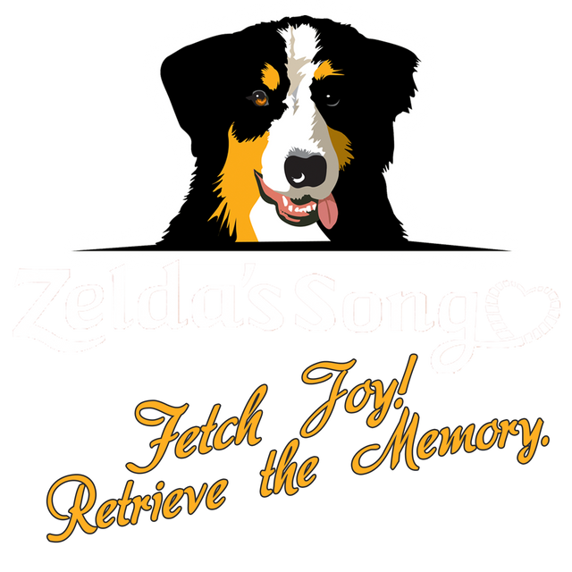 Pet Memorial & Remembrance Jewelry - Zelda’s Song