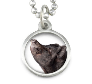 pet memorial jewelry pet remembrance jewelry