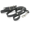 matching collar and leash