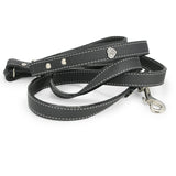 black dog leather leash