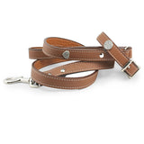 matching dog collar and leash