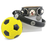 Leather Cuff Photo Bracelet and Collar Combo