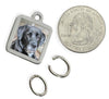 photo charm picture charm for dog themed jewelry pet memorial jewelry