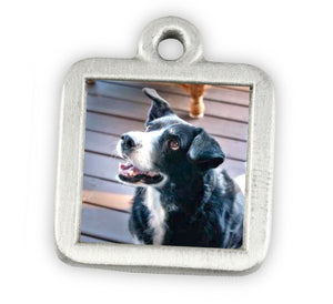 picture charm photo charm for pet memorial jewelry dog charm bracelet