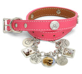 friendship dog collar with matching bracelet