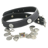 The Mutt Photo Charm Bracelet and Collar Combo
