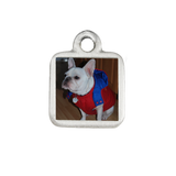 Extras - Small Square Photo Charm for Dog Charm Bracelet - Customer's Product with price 10.00 ID VW_4Nug5rt0vb1OgscEg43ex